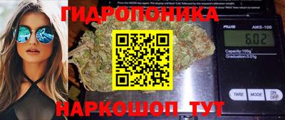 твердый Заводоуковск